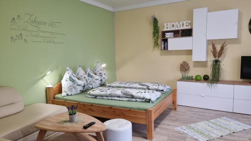 Large One-Bedroom Apartment image 4