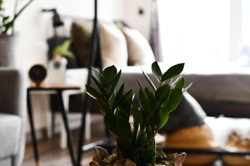 Loft image 1