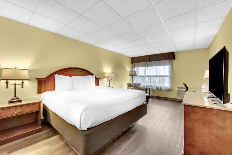 King Room - Pet Friendly image 1