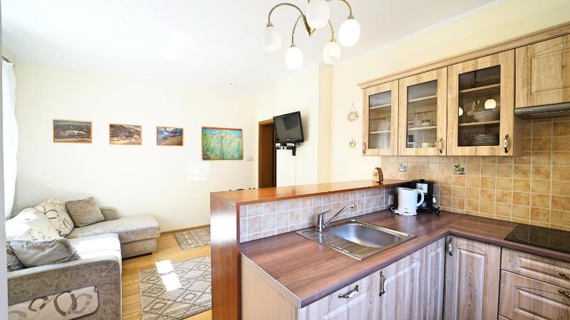 One-Bedroom Apartment image 3