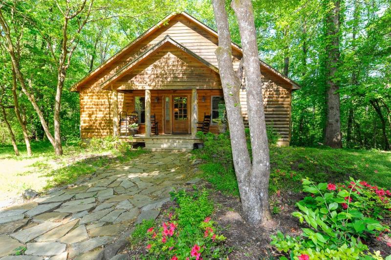 Luxury One-Bedroom Cabin with Kitchen image 2