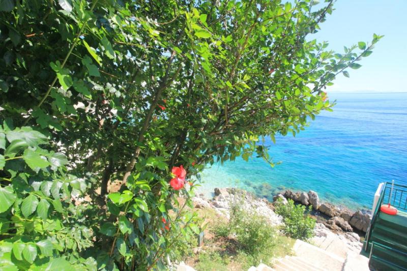 Sea Front Studio Alexandra - image 19