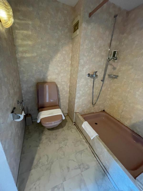 Interlaken Apartment 25 - image 5