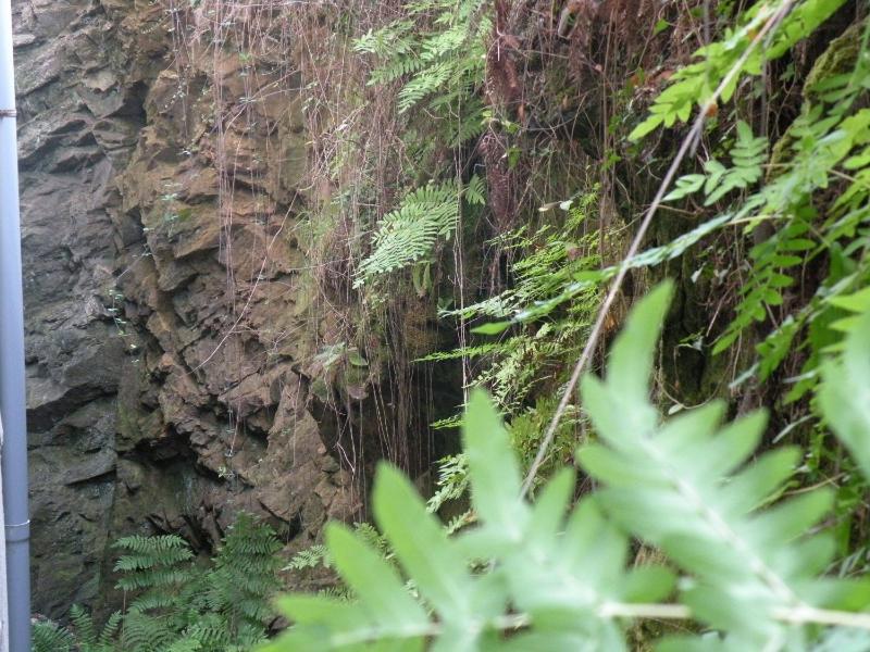 Single Room with Mountain View image 2