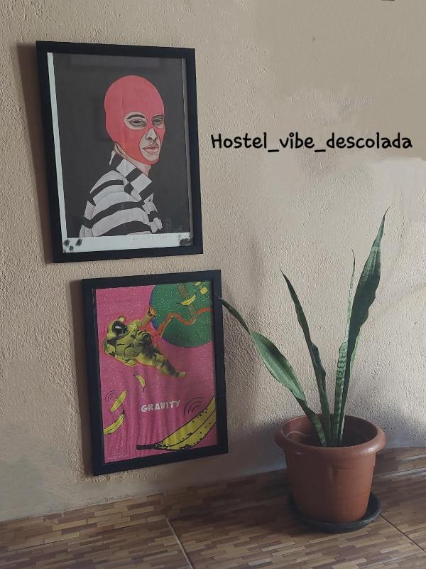 @hostel_vibe_descolada - image 21