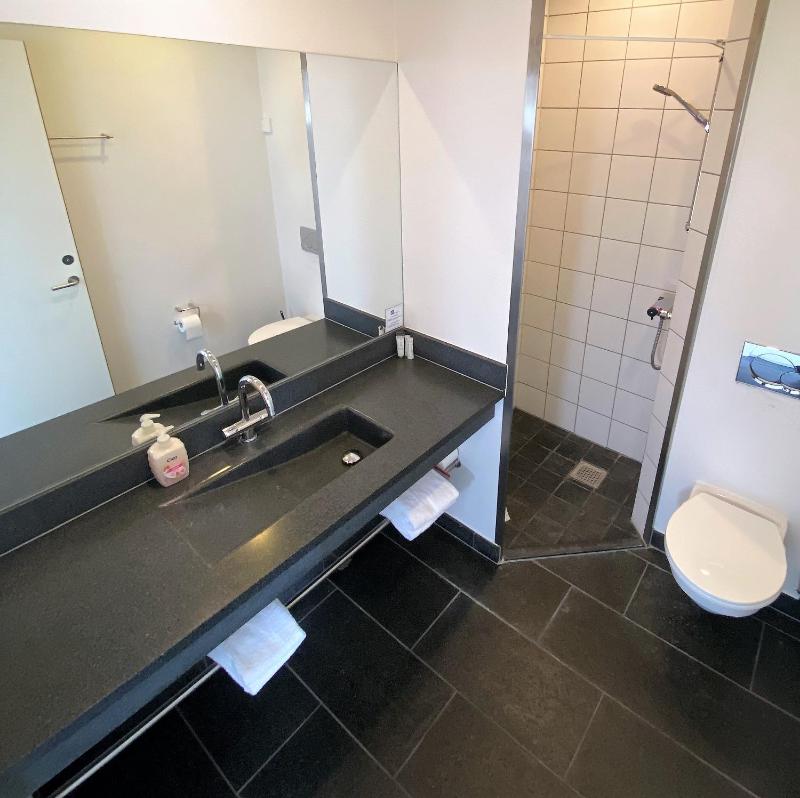 Standard dobbeltværelse med udsigt til/mod skoven image 4