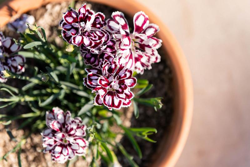 Superior Residence with Panoramic Sea View image 1