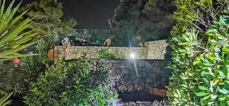 Villa with Sea View image 2