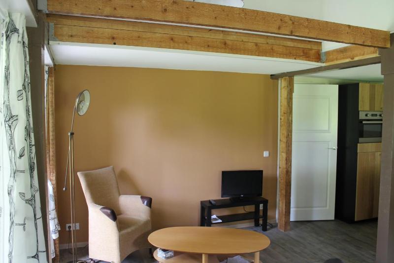 Apartment with Terrace image 3