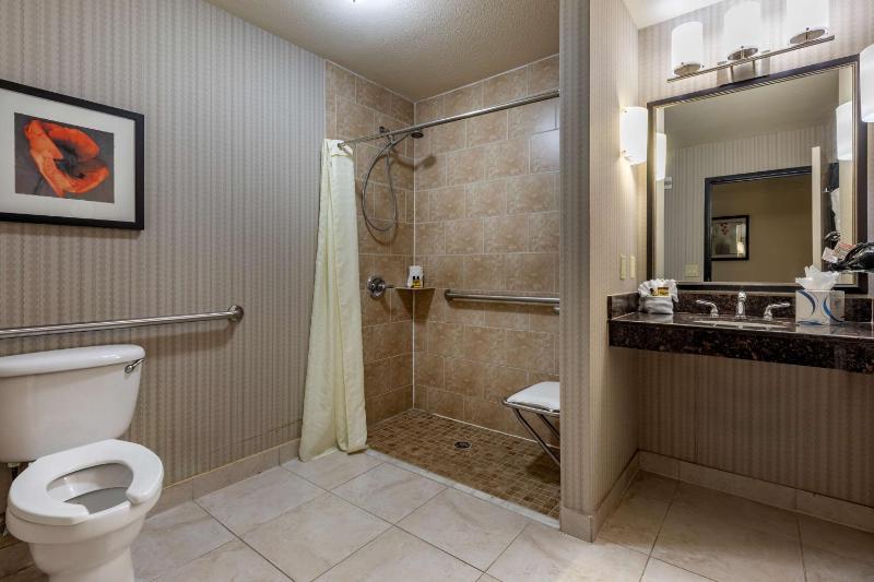 King Suite with Roll-In Shower - Disability Access image 2
