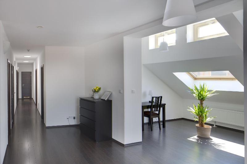 Three-Bedroom Apartment - Attic image 4