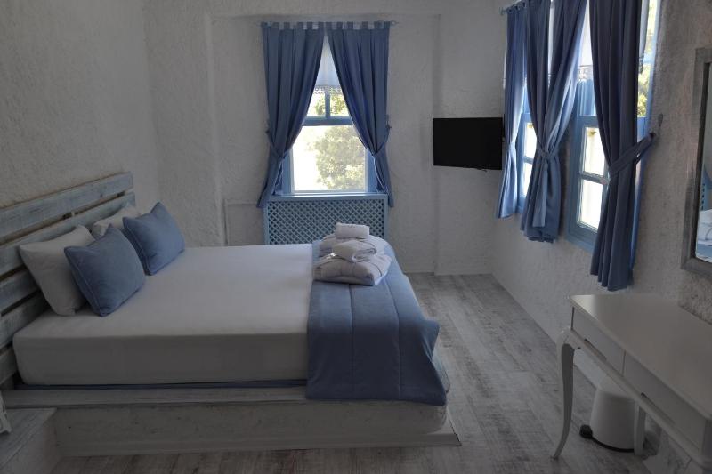 Large Single Room image 3