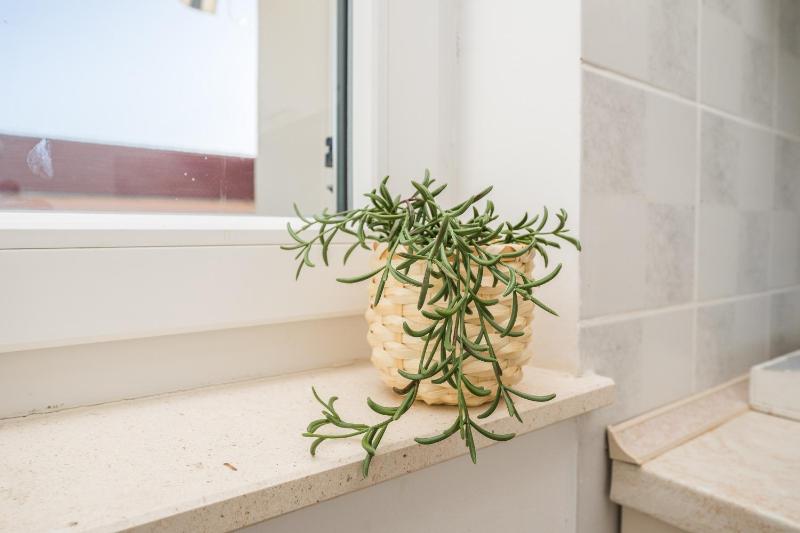 Mint lovely apartment for 8 - image 11