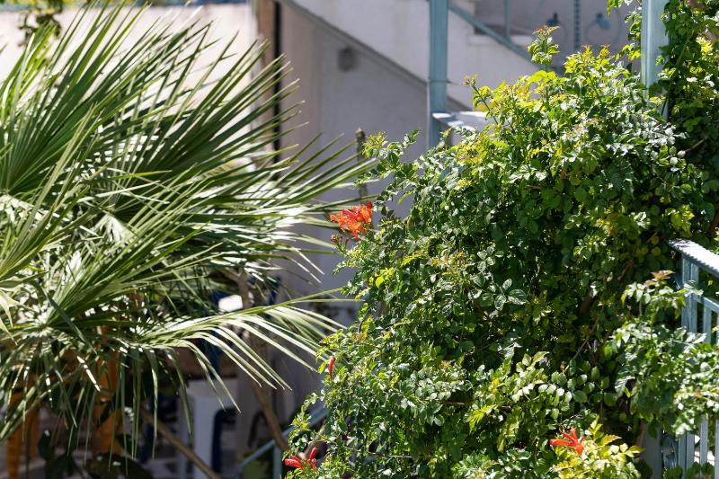 Apartment with Sea View image 2