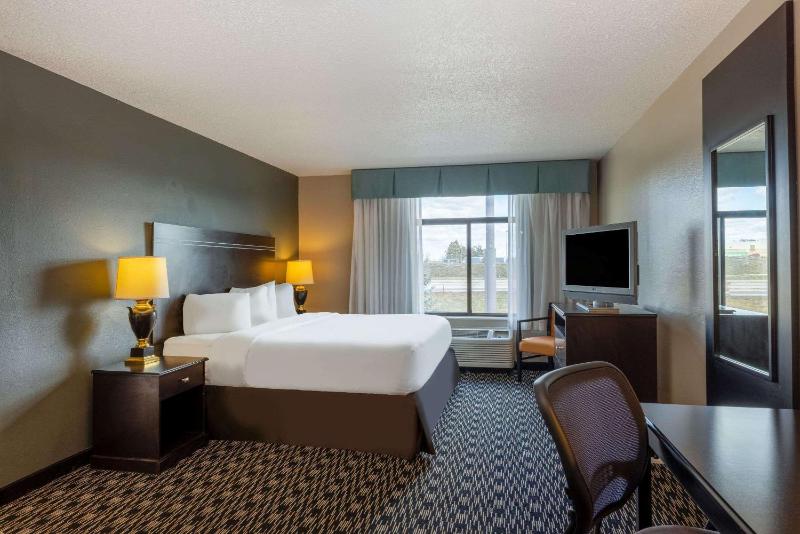 Deluxe King Suite - Non-Smoking image 4