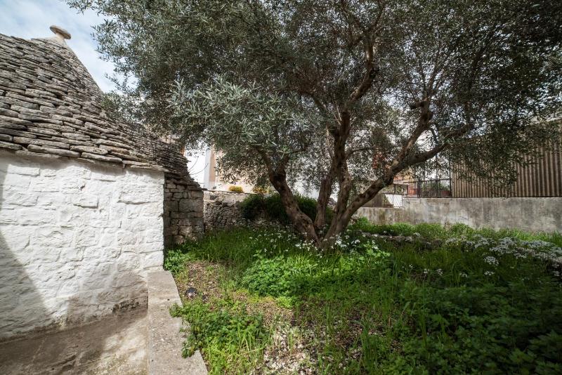 Trullo Double Standard image 3