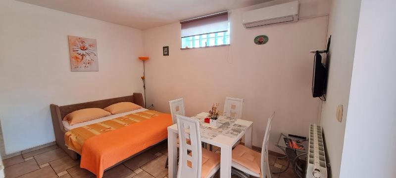 One-Bedroom Apartment with Terrace image 4