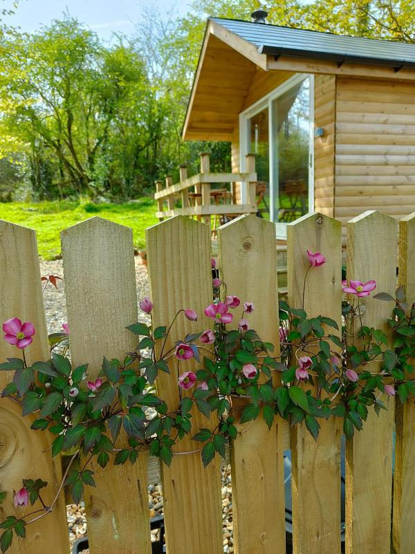 Dryw bach glamping hut Images