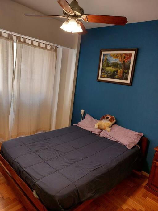 DEPARTAMENTO FAMILIAR 3 ambientes - image 15