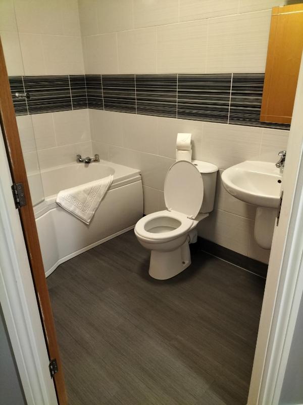Deluxe King Suite image 3