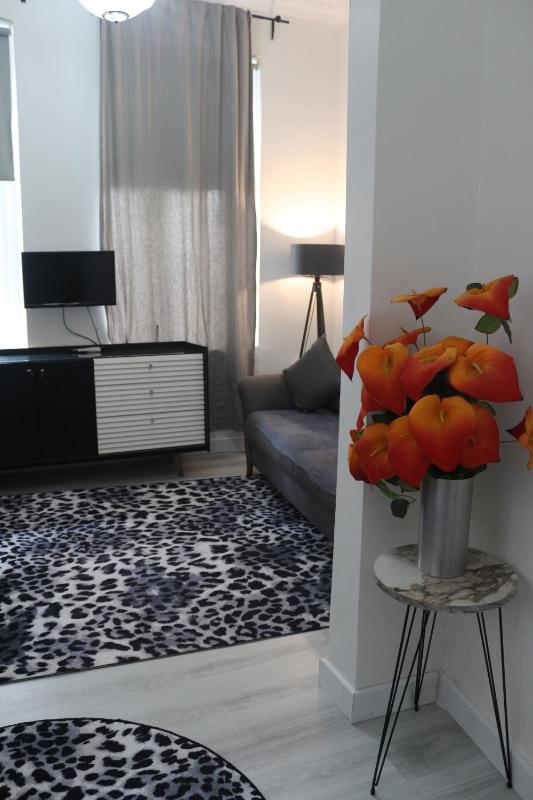 One-Bedroom Apartment image 2