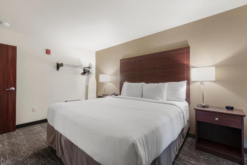 One-Bedroom Suite image 4