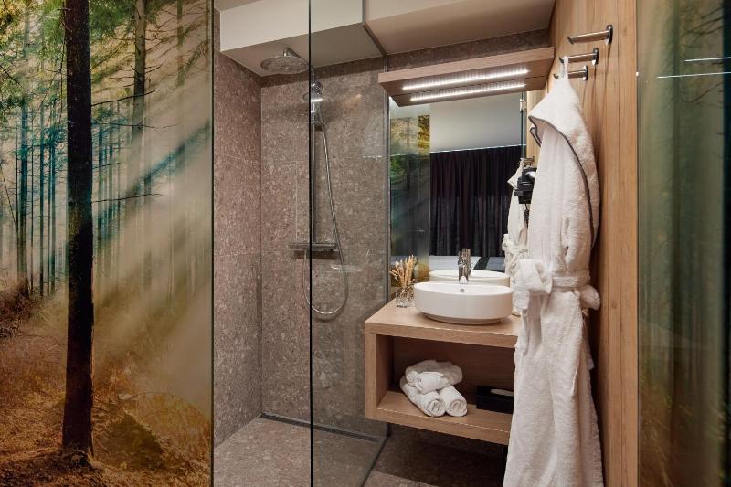 Superior Double or Twin Room image 2
