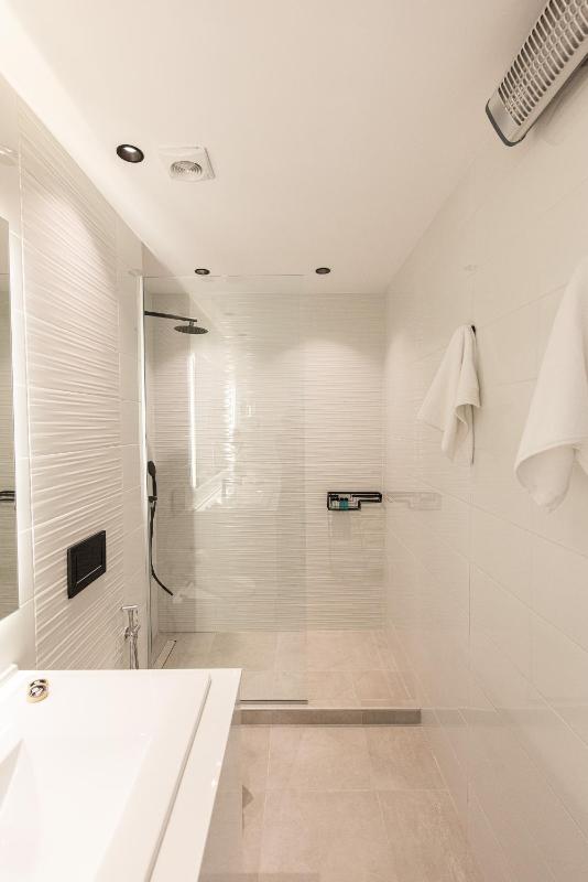 One-Bedroom Apartment image 4