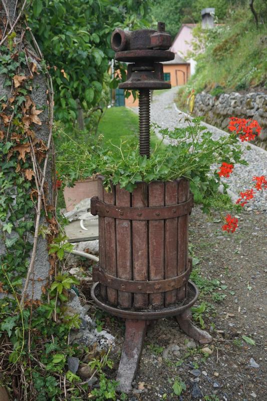 Agriturismo U muinettu - image 10