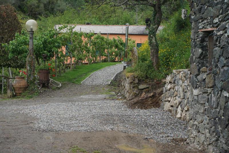 Agriturismo U muinettu - image 46