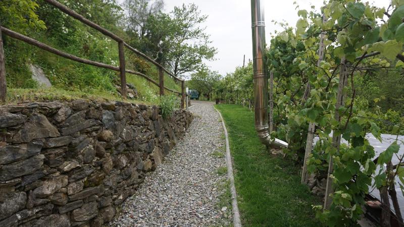 Agriturismo U muinettu - image 43