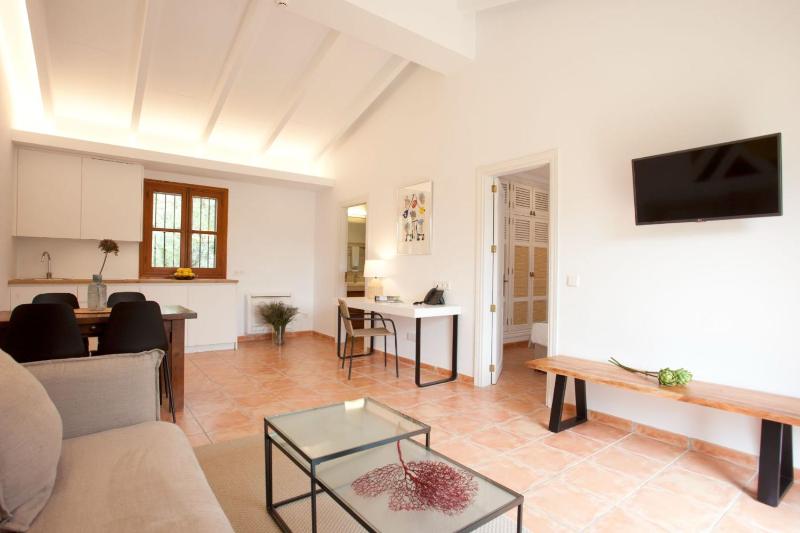 Apartment with Terrace image 3