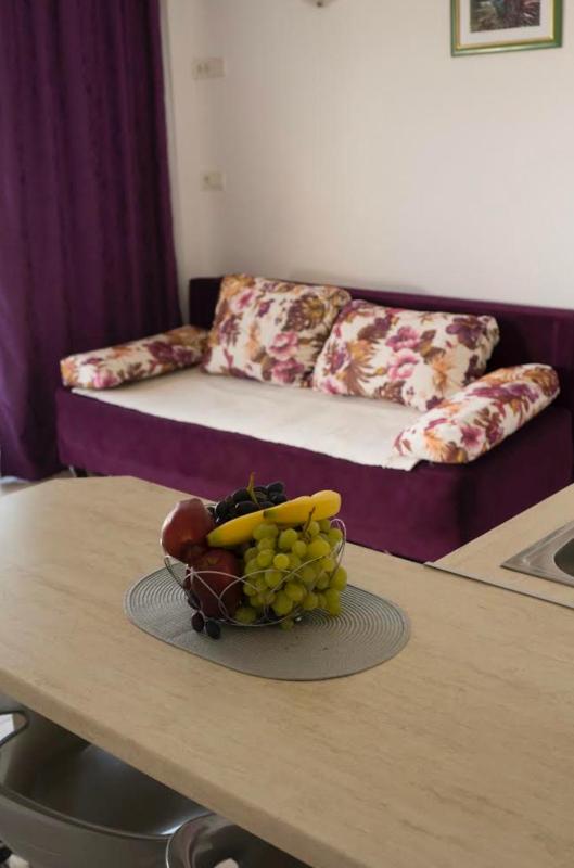 Franovic Apartments - image 16