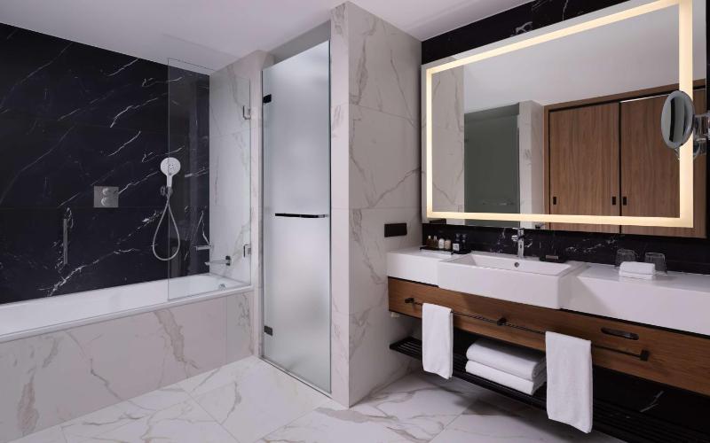 Suite with Lounge Access image 4