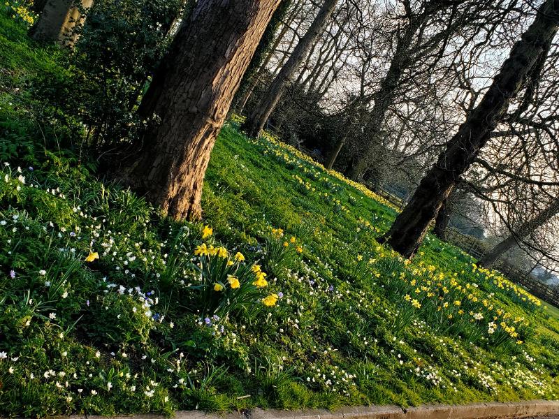 Coundon Lodge Coventry - image 10
