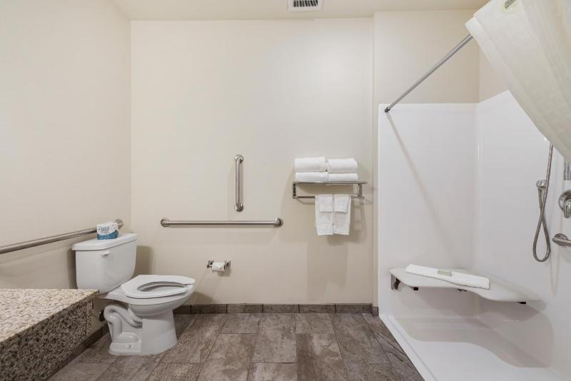 King Room with Roll-In Shower - Disability Access image 2