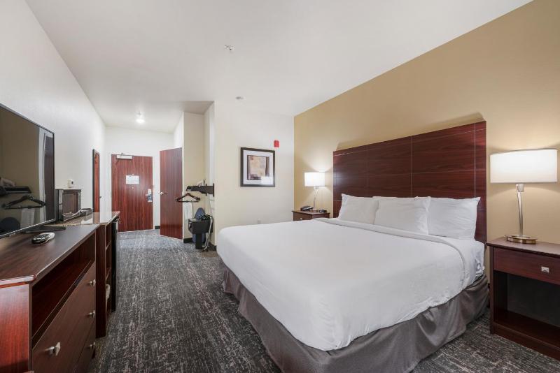 King Room with Roll-In Shower - Disability Access image 1