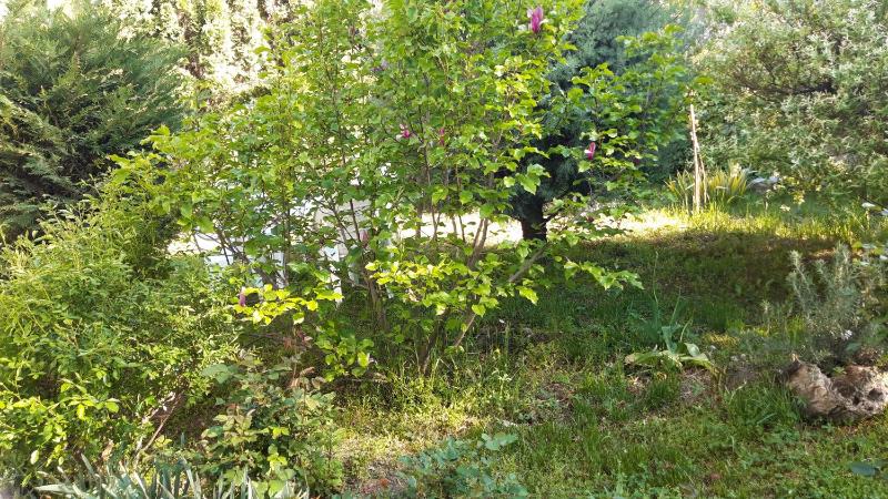 Apartman river side - image 8
