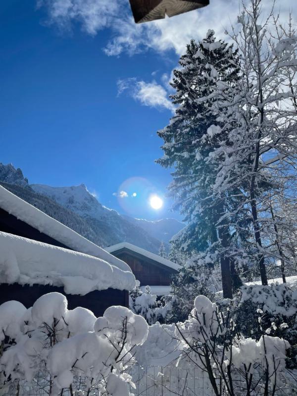 chalet Polar - image 14