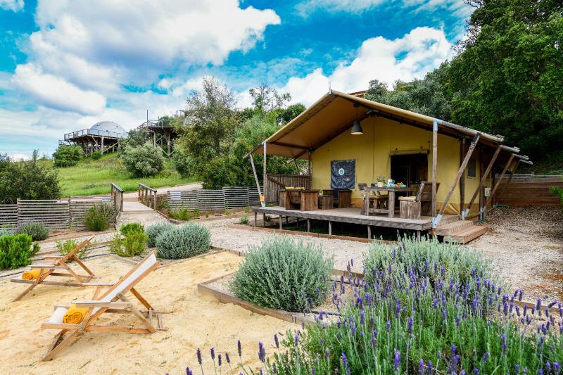 Safari Tent image 1