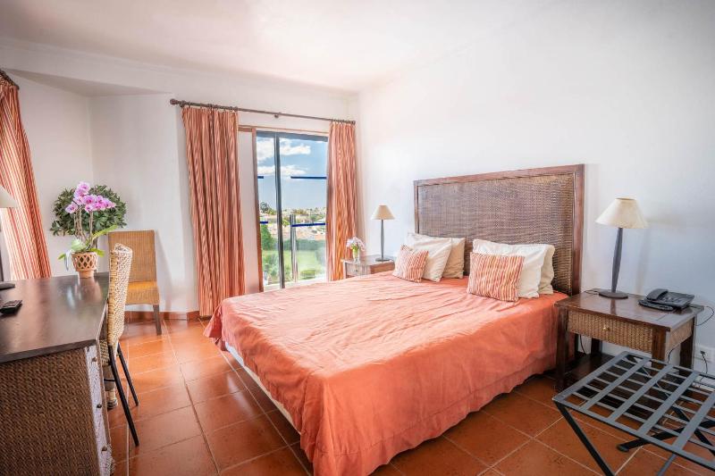 Suite with Pool View image 1