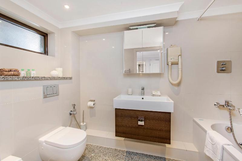 Superior One-Bedroom Apartment image 4