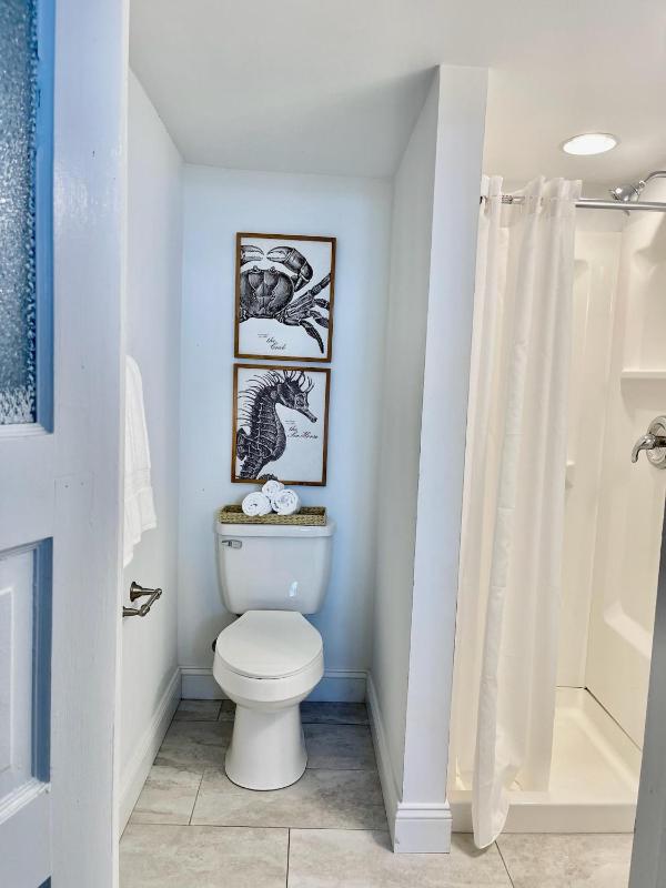 One-Bedroom Apartment image 2