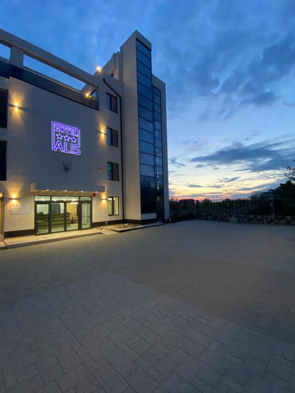 Hotel Alis - image 33