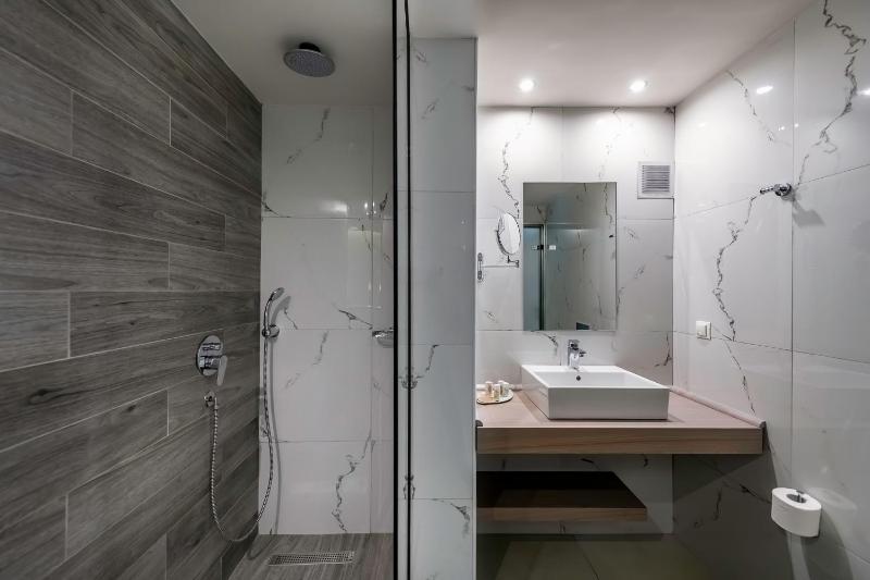 Standard Suite image 4
