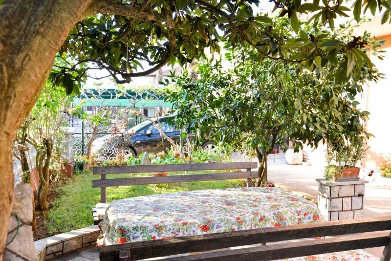 Apartment - Ground Floor image 3