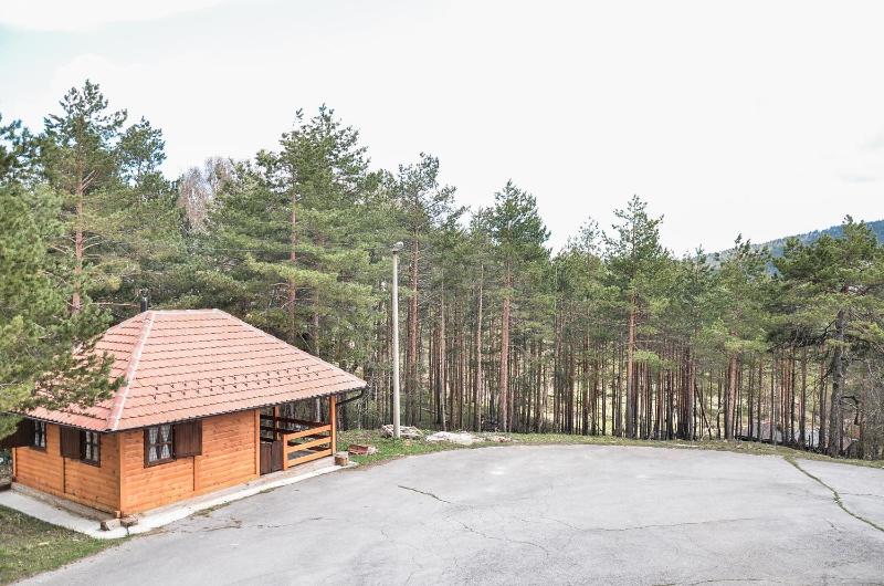 Studio with Terrace image 2