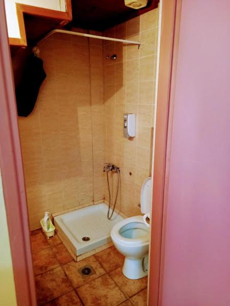 Caza Latina - image 4