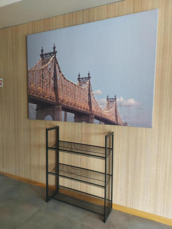 Bunk Bed in Mixed Dormitory Room image 4