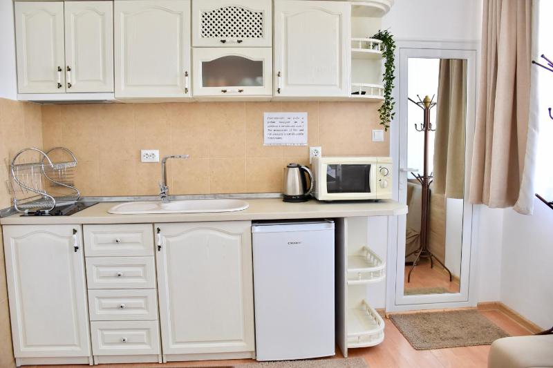 One-Bedroom Apartment with Terrace image 3